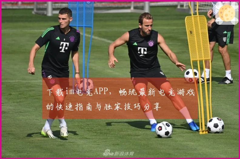 下载im电竞APP，畅玩最新电竞游戏的快速指南与独家技巧分享
