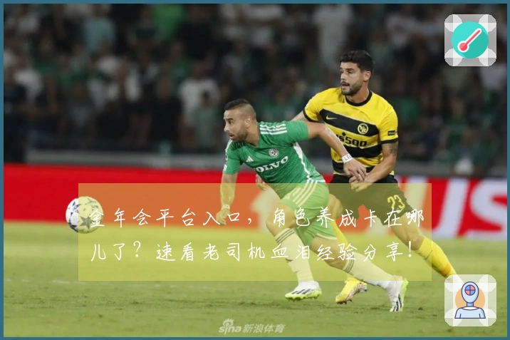 金年会平台入口，角色养成卡在哪儿了？速看老司机血泪经验分享！