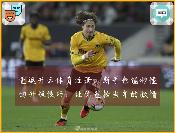 重返开云体育注册，新手也能秒懂的升级技巧，让你重拾当年的激情与荣耀